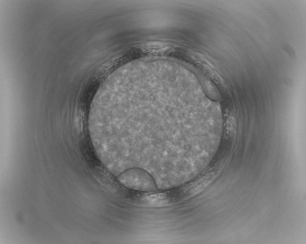 X0000116020283200912181156