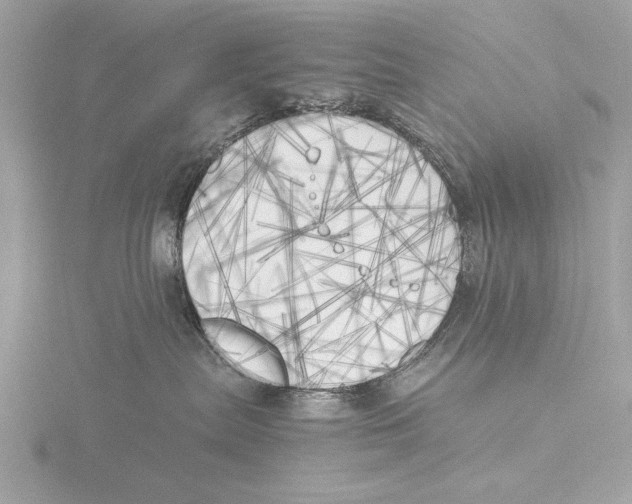 X0000116020287200912181156