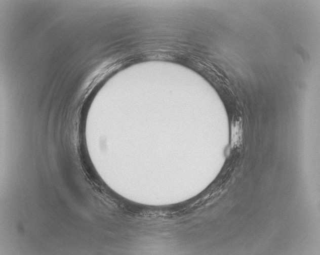 X0000116020291200912181155