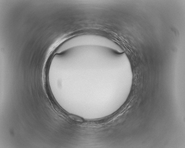 X0000116020294200912181155