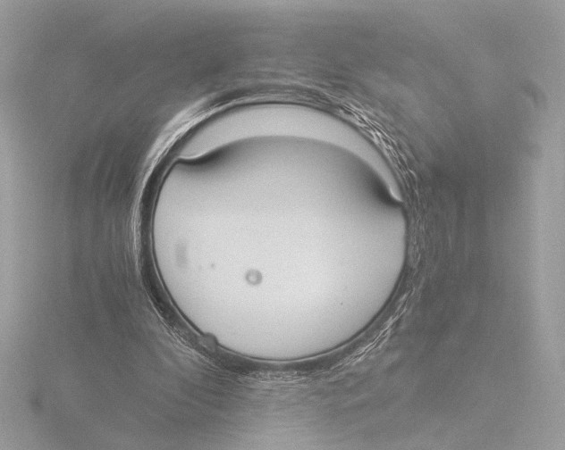 X0000116020296200912181155