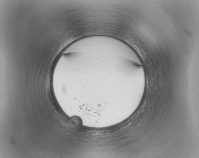 X0000116020297200912181155