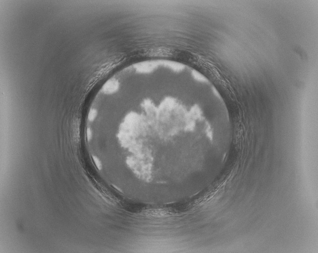 X0000116020299200912181155