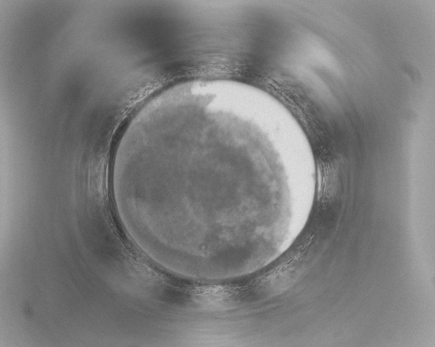 X0000116020301200912181155