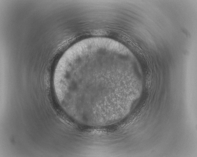 X0000116020303200912181155