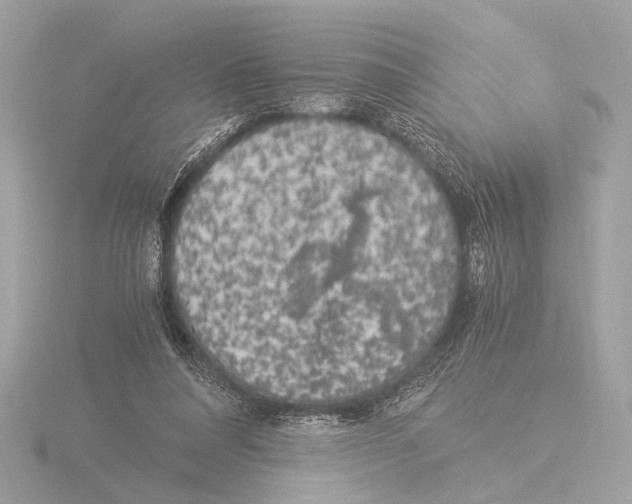 X0000116020304200912181155