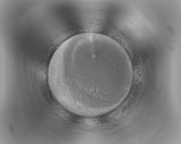 X0000116020305200912181155