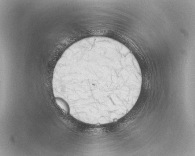 X0000116020307200912181154