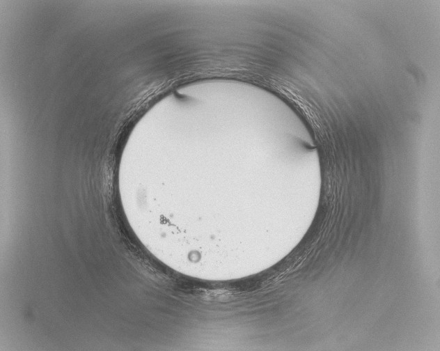 X0000116020309200912181154