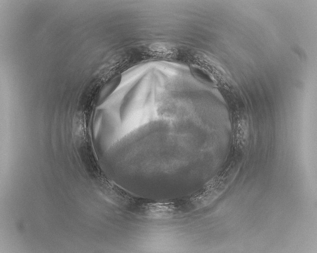 X0000116020320200912181154