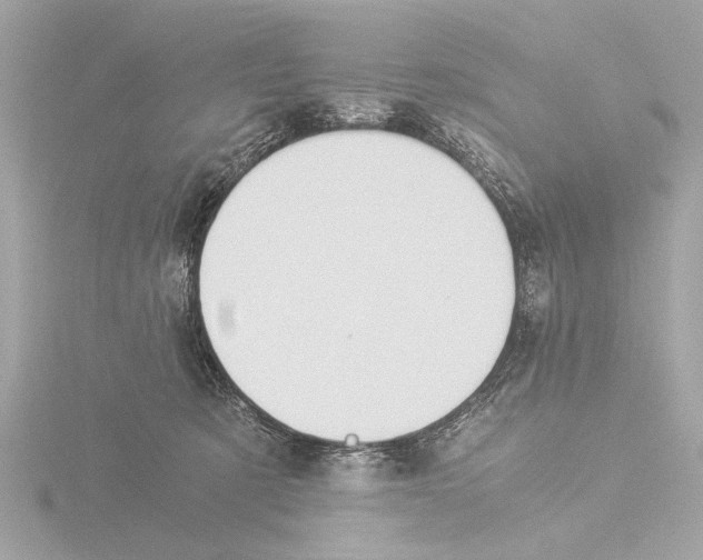 X0000116020321200912181154