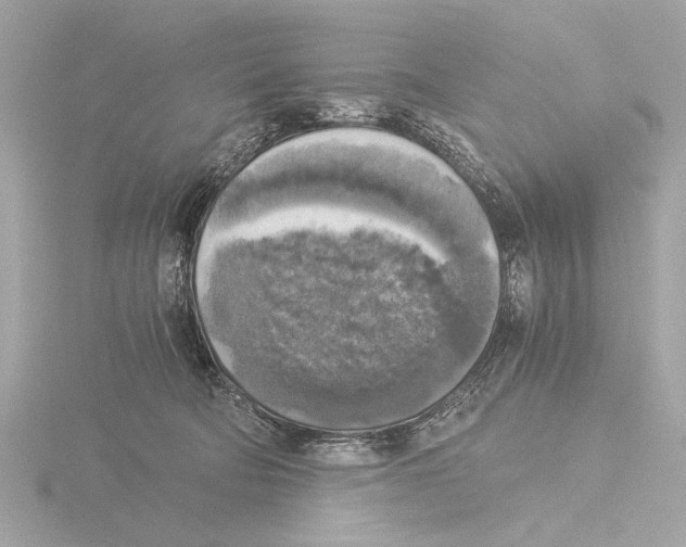 X0000116020322200912181154