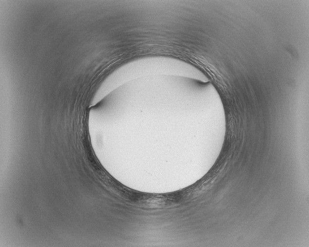 X0000116020325200912181154