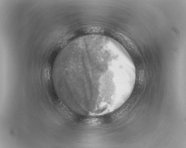 X0000116020326200912181154