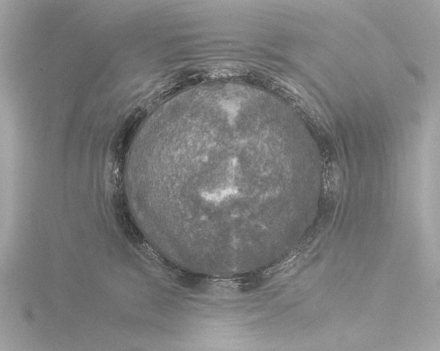 X0000116020327200912181154