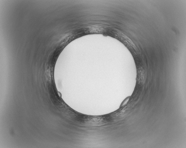 X0000116020329200912181154