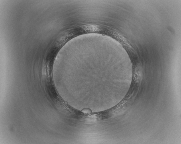 X0000116020330200912181154