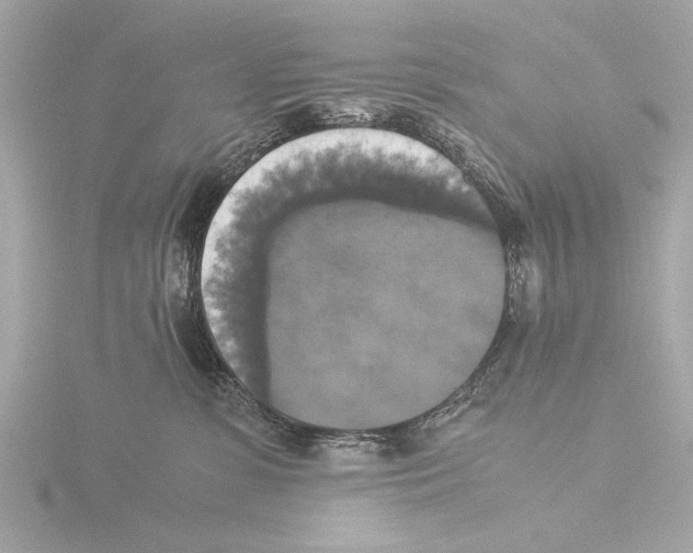 X0000116020331200912181154