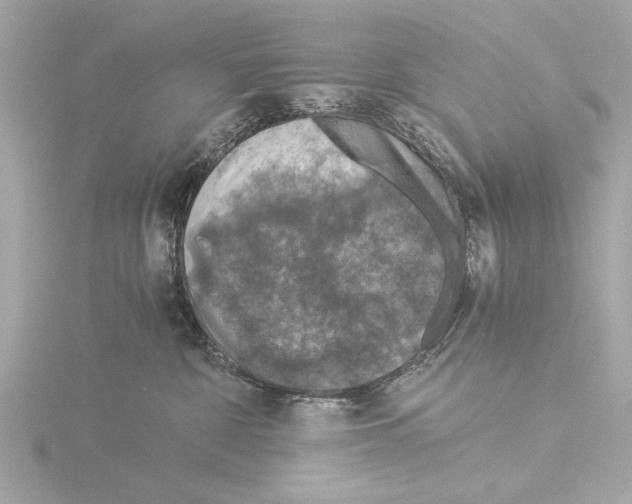 X0000116020332200912181154