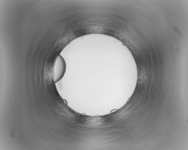 X0000116020334200912181154