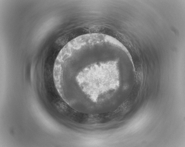 X0000116020335200912181154