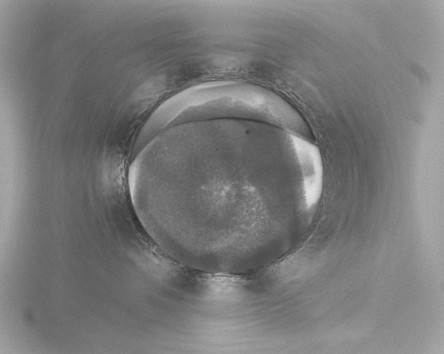 X0000116020336200912181154