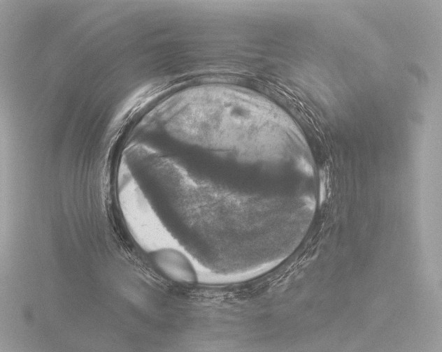 X0000116020339200912181153