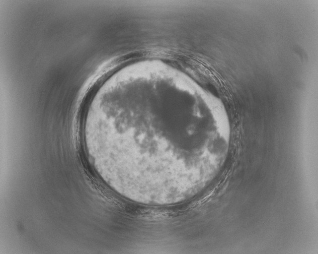 X0000116020343200912181154