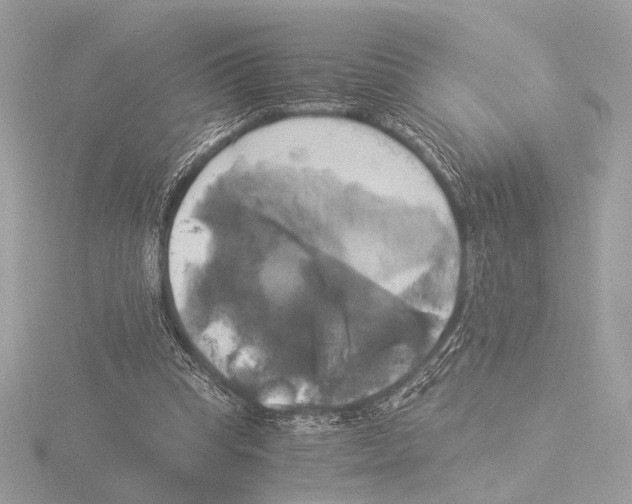 X0000116020345200912181154