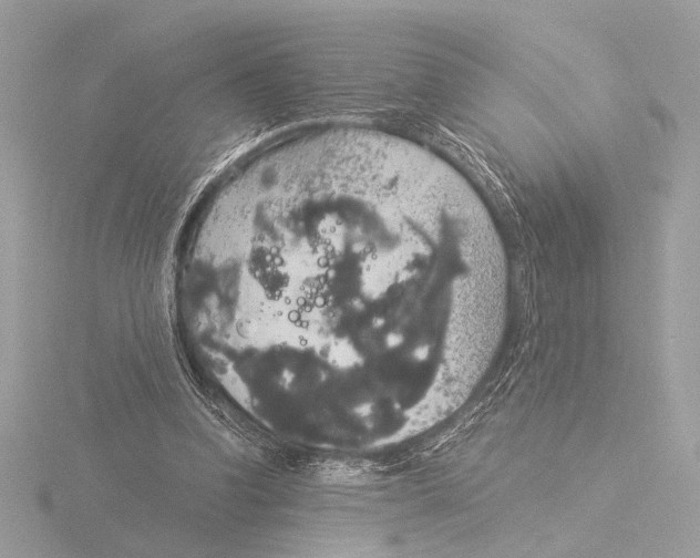 X0000116020346200912181154