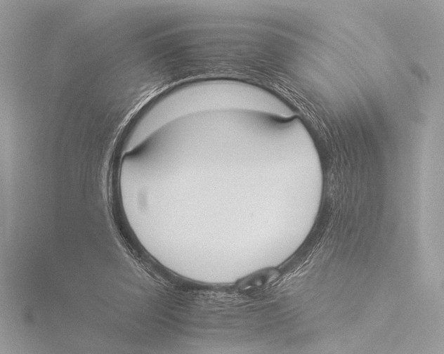 X0000116020347200912181154