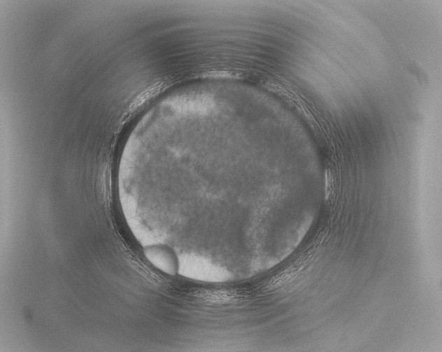 X0000116020349200912181154