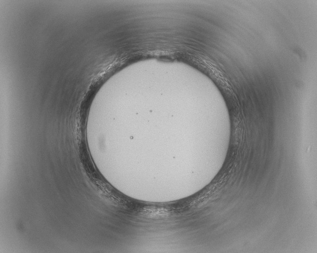 X0000116020354200912181154