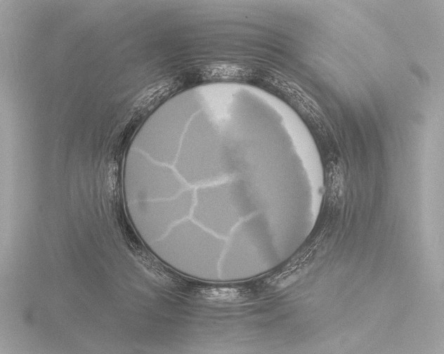 X0000116020361200912181154