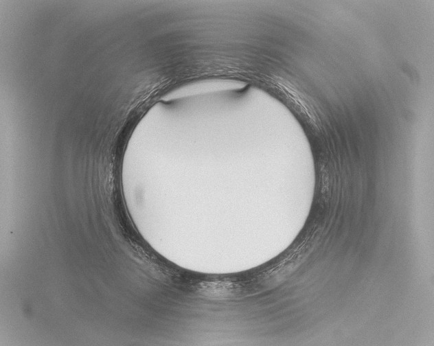 X0000116020362200912181154