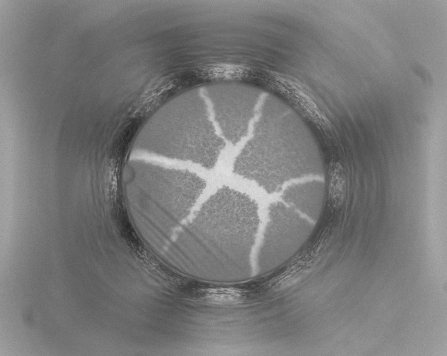 X0000116020363200912181154