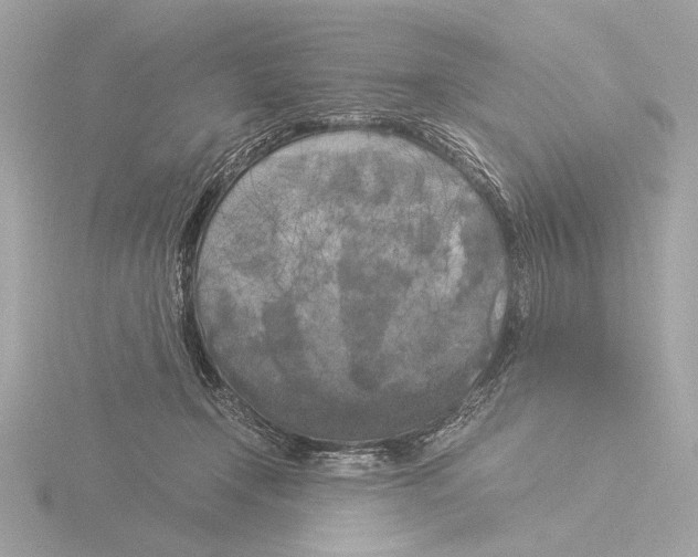 X0000116020366200912181154