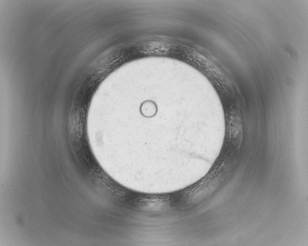 X0000116020370200912181154