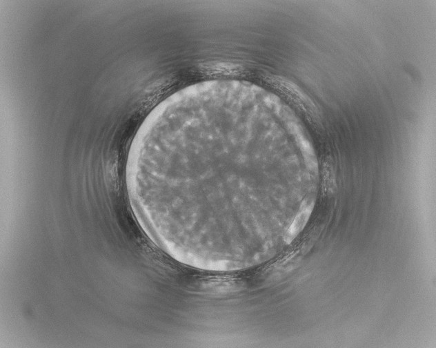 X0000116020377200912181154