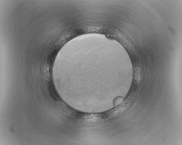 X0000116020378200912181154