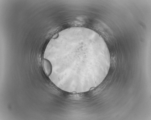 X0000116020381200912181154