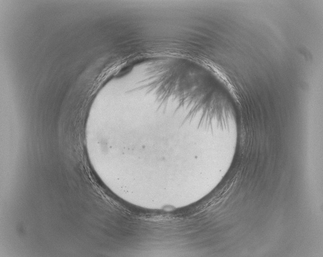 X0000116020385200912181153