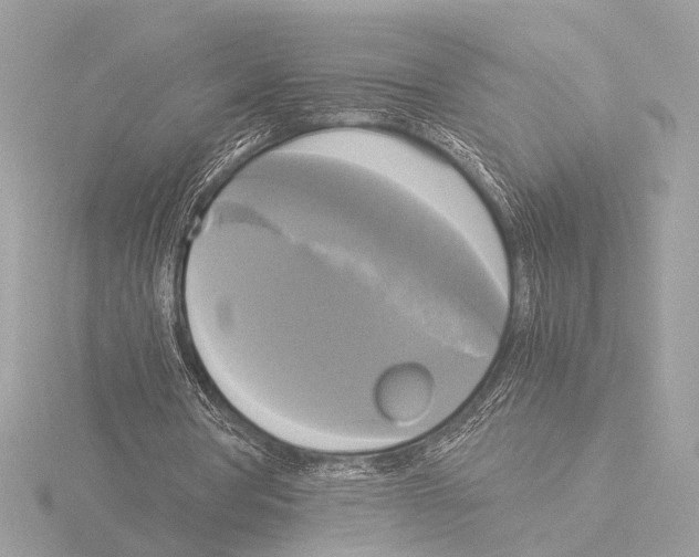 X0000116020386200912181153