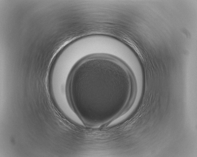 X0000116020387200912181153