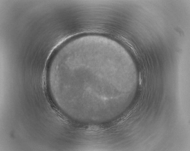 X0000116020388200912181153