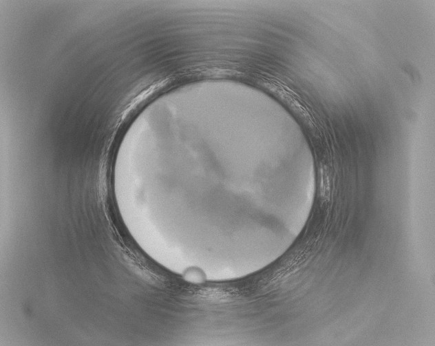 X0000116020390200912181153