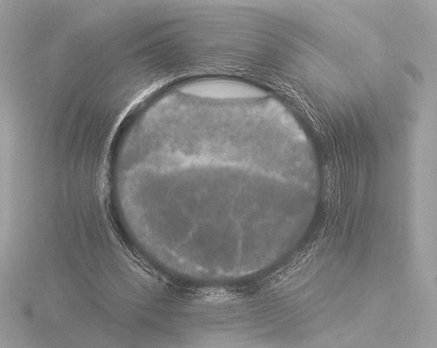 X0000116020392200912181153