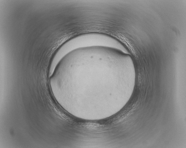 X0000116020393200912181153