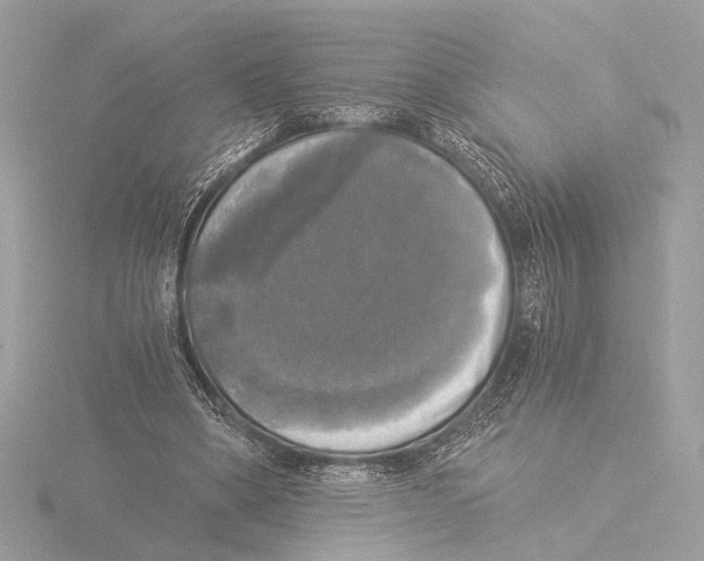 X0000116020394200912181153