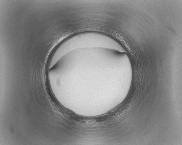 X0000116020395200912181153